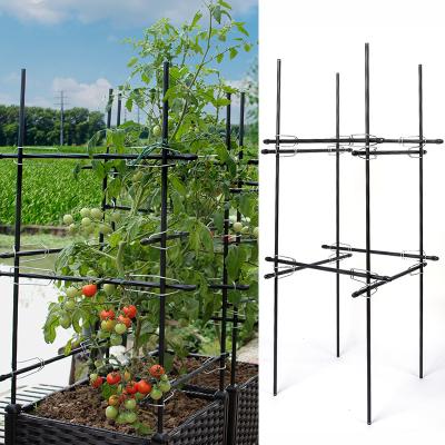 China Garden Self Watering Plant Tower Planter Frame Tomato Vegetable Planter With Trellis for sale