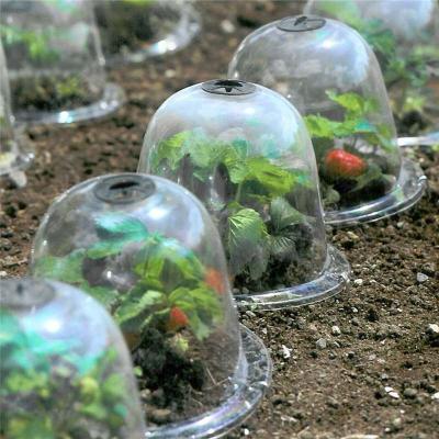 China New Mini Heat Preservation PVC Fruit Garden Nursery Plastic Seedling Cover Breathable Plant Agricultural Transparent Vegetable Round Cover for sale