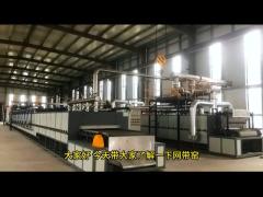 Mesh Belt Kiln