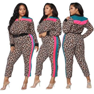 China QUICK DRY women fall two piece sets leopard zipper red and green prickly sleeve casual set long jogging 2 piece set women for sale