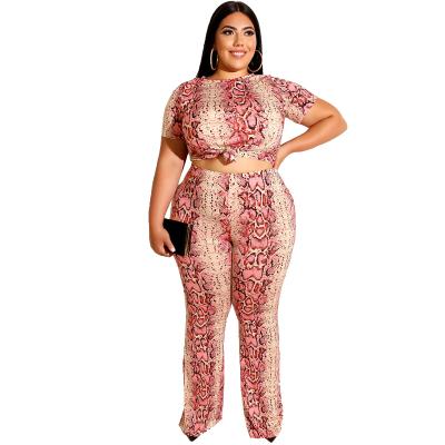 China Breathable Printed Fabric Women Set Serpentine Women Sets Two Piece Plus Size Womens Clothing for sale