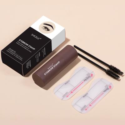 China One Step Waterproof Adjustable Eyebrow Powder Long Lasting Waterproof Makeup Eyebrow Stamp Shaping Kit With 10 Reusable Eyebrow Stencils for sale