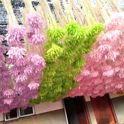 China Highly praised and valuable home decor home decor stone grass are used as gifts to decorate natural dry flower for sale