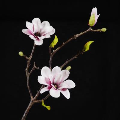 China Home Decor V1011 High Quality Artificial Flowers Artificial Orchid Can Be Used For Decoration Home Author for sale