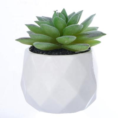 China Wholesale YY4021 Mini Home Office Decoration Artificial Succulent Plants With Pots for sale