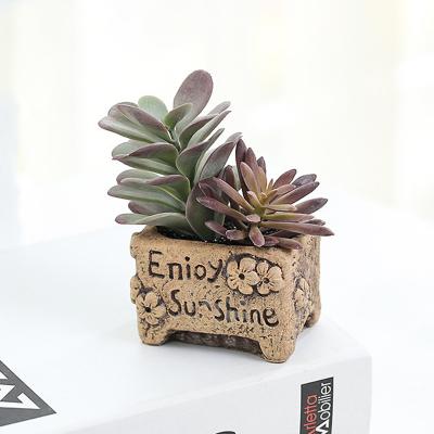 China New Natural Plastic Fake Mini Plants Touch Tropical Artificial Succulent In Resin Creative Mental And Ceramic Pot for sale