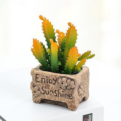 China Touch Decorative Artificial Tropical Succulent Plants Natural Hot Selling Small Indoor Plastic Plants In Pot for sale