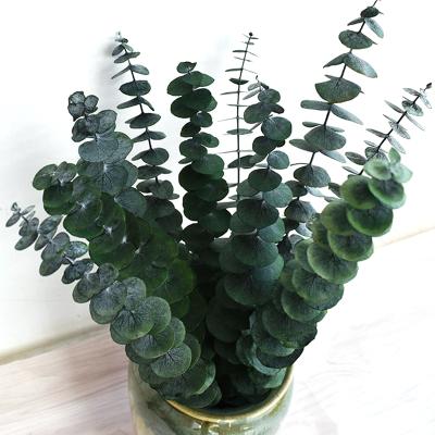 China Natural Touch Preserved Olive Green Immortal Eucalyptus Leaves Preserved Apple Leaves For Luxury Wedding Decor for sale