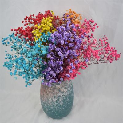 China Valentine's Gift QD2001 Wholesale Preserved Flower Gift Gypsophila Dried Flower Bouquet for sale