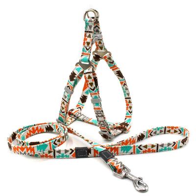 China Personalized Pet Leads Custom Print Dog Harness and Leash Set for sale