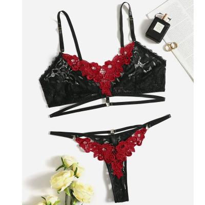 China Temptation hot women's sexy lace underwear bra and sexy women's underwear women's sexy lace underwear panties for sale