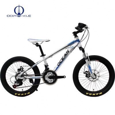 China 20 Inch Alloy Steel Frame Kids Bikes Steel Children's Bicycle With Suspension Fork for sale