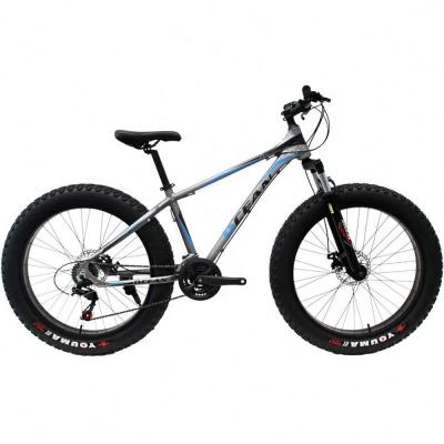 China Aluminum Alloy 26 Inch Aluminum Alloy Suspension Fork 21 Speed ​​Disc Brake Fat Bike Snow Bike for sale