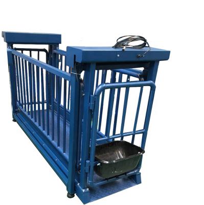 China OEM/ODM load cells used cattle ladder for sale cattle ladder hanging kit 1000 lb capacity cattle ladder kit for sale