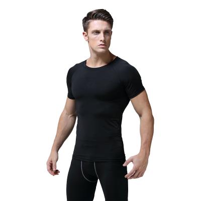 China Anti-Wrinkle Daily Wear Mens T-shirt Fitness Shorts Sleeve Gym Clothes Use Quick Dry Fabric for sale