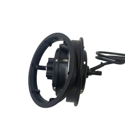 China 10 Inch 10 Inch Slot Disc Brake Motor 3.8KG Brushless Fast Scooter Hub Motor for sale