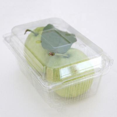 China Factory Direct Supplier Fresh Fruit Biodegradable Using Disposable Fruit Container for sale