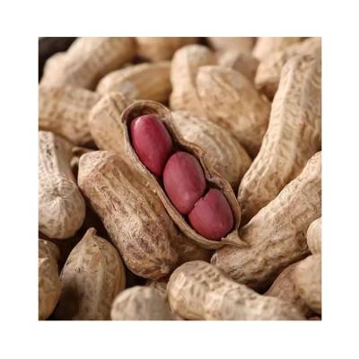 China Wholesale Best Selling Non-GMO Raw Organic Peanut Kernels Dry Edible Peanut Kernel for sale