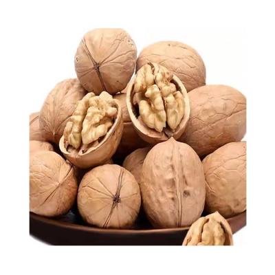 China Dry Skin Walnut Inshell Premium Thin Whole In Shell Walnut for sale