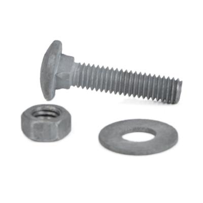 China Custom OEM Steel Carriage Head Bolt Hot Dip Galvanized Hardware Fastener Iorn Bolt Fasteners for sale