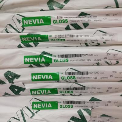 China Nevia Anticurl Brand Double Side Coated Art Paper In Roll / Sheet Bundle for sale