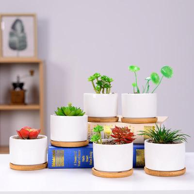 China Wholesale home gardening modern simple ceramic flower pot white porcelain plant ceramic succulent pot for sale