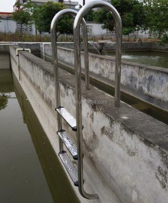 China (SUS316 could be customized made) SUS304 pool ladder for sale