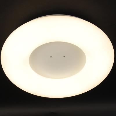 China Surface Mounted Private Label 3 Years Warranty Flush Mount Ceiling Light Simple Style Indoor Ceiling Lamp Living Room for sale