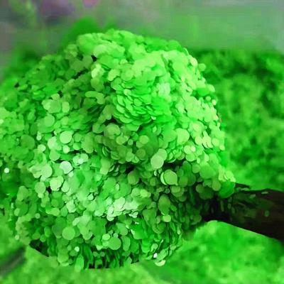 China RAMADAN Occasion 1 Kilo Packing Bulk Dots Glitter Powder for Glitters Glitter Dot Mixes Neon Color Package Opp Bag for sale