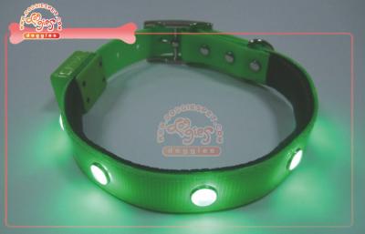 Chine L'éclair fortement évident allument le collier de chien de TPU LED à vendre