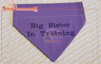 China Embroidered Any Letter Training Dog Bandana In Over Collar Style With Hardware for sale