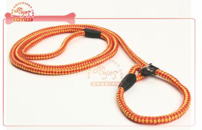 China P-Style Choke Slip Traning Rope Pet Leash for sale