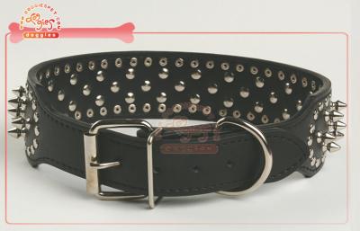 China Spiked Studded Raw hide Leather Dog Collars And Leashes L , XL for sale