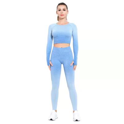 China Breathable Female Seamless Yoga Suit Long Sleeve Fitness Yoga Suit Sport Tight Quick Drying Wear for sale