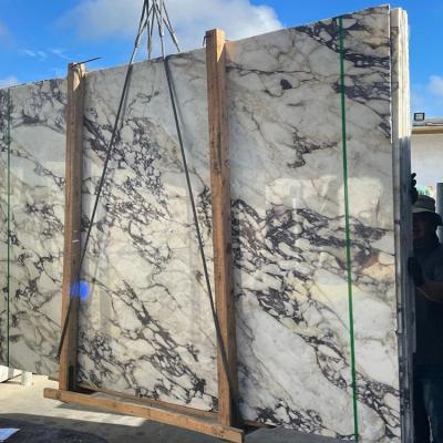 China Modern Modern Home Decor Calacatta Viola Marble Slab For Floor and Wall Tile for sale