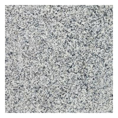 China Building Granite Slab Tile Light Gray White Sardo Bianco China G640 Granite for sale