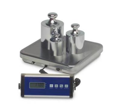 China 30Kg 60Kg 150Kg 300Kg 600 Kg Platform Scale Weighing Scale For Industrial Use for sale