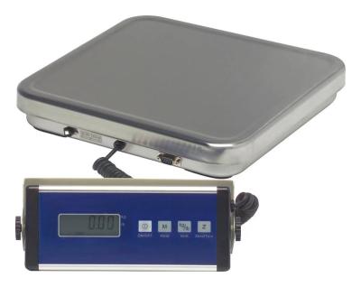 China Platform Scale 150kg 300kg Industrial Weighing Scale 50 Kg for sale