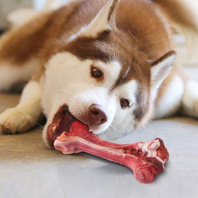 China Soft Grinding Dog Chew Eco - Friendly Sustainable Toy Dog Bone Toy Feeder Of Teeth Natural Rubber for sale