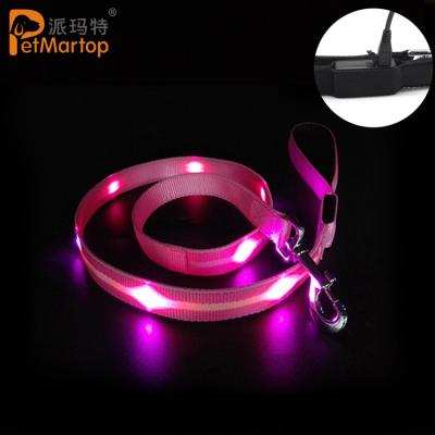 China Viable Double Color Dog Cord Pet Chain USB LED Rechargeable Dog Flashing Leash for sale