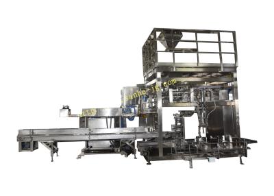 China 25kg Weighing Filling Packing Palletizing Line Bagging and Palletizing System for sale