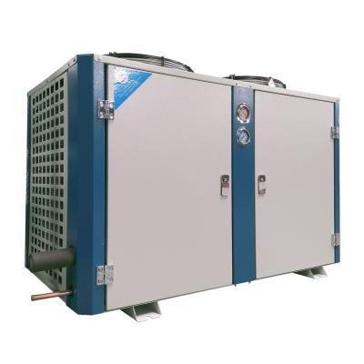 China Professional Manufacturers Hotels Custom New Air Cooled Condenser Type for sale