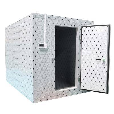 China Container Walk In Chiller Cold Room For Meat Fish Ice Cream Cold Plant Room Fruit And Vegetable Cold Storage Room Meter Cold Storage for sale