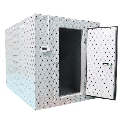 China New Container Store Product Cold Room Blast Freezer Refrigerated Container Cold Storage Room For Meat for sale