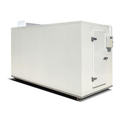 China Custom Container China Blast Freezer Cold Storage Store Walk In Cold Room Colder Price Fresh Fruits And Vegetables for sale