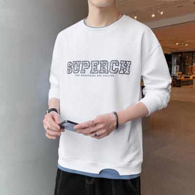 China New Anti-wrinkle Cotton Plain 100% White Men Long Sleeve Sweatshirt With Custom 3d Logo Embossed Hoodie for sale