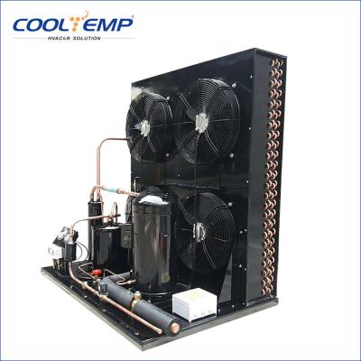 China Application of Refrigeration Parts Refrigeration Parts and CE Certification Copeland Refrigeration Condensing Unit for sale