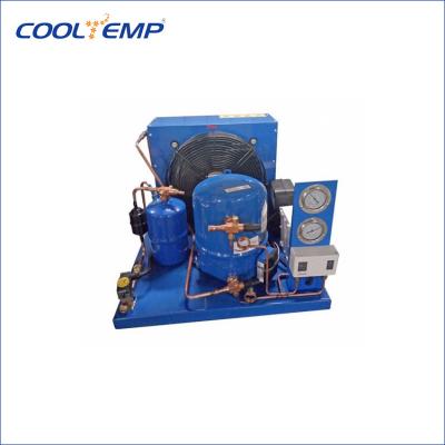 China Refrigeration Parts R404a Small Condensing Unit With Maneurop Compressor for sale