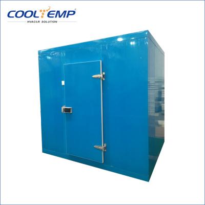 China Store Seafood PU Panel Cold Storage Room With Swing Door for sale