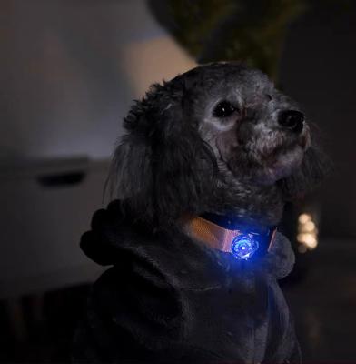 China Lights UMIONE Gems Diamonds Shape Walking The Dog At Night Glowing Red Blue LED Pet Light Dog Safety Light Led Dog Collar Light for sale